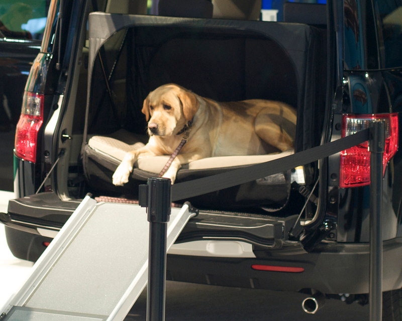 Illustration for article titled The Ten Best Cars For Dog Owners